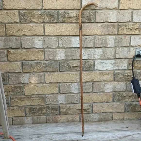 Bamboo  cane - Picture 2 of 5